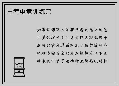 王者电竞训练营